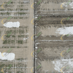 Muz Serası Drenaj Sistemi