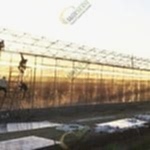 Sera polikarbon örtüsü kaplama | MAYSERA