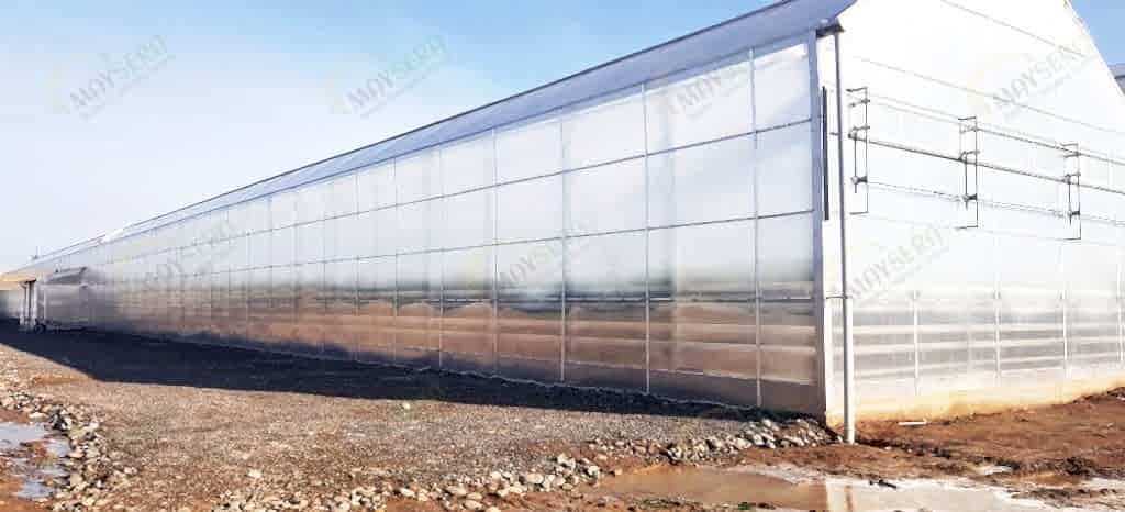 Özbekistan Gotik Polikarbon Sera Kurulumu | Özbekistan Modern Polikarbon Sera