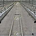 Topraksız domates sera kurulumu | MAYSERA