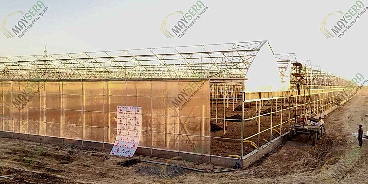 Muz serası polikarbon kaplama çalışmaları