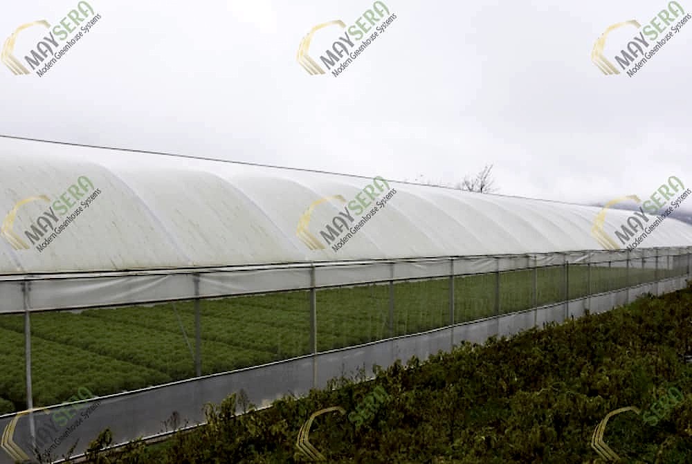 Sera nedir? | Çiftçi serası | askfonu.cfd