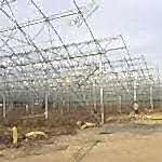 Modern Gotik Sera Konstrüksiyonu | askfonu.cfd