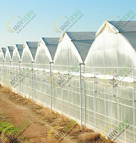 MAYSERA | Modern Sera Sistemleri | Sera Kurulumu | Sera Maliyeti | Sera Fiyatı