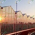 Türkiye Balıkesir Sera kurulumu | MAYSERA