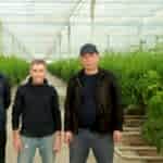 Özbekistan topraklı domates serası | Özbekistan Sera Kurulumu | MAYSERA