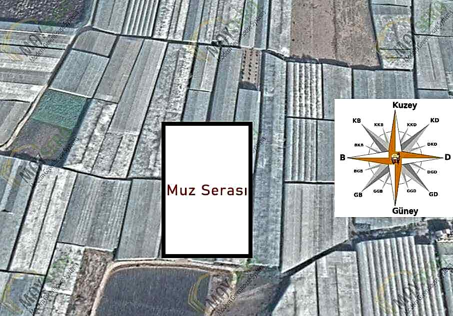 Muz serası kurulumu | Muz serası maliyeti | Muz sera maliyeti | MAYSERA