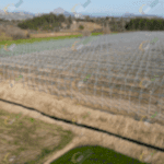 Sıcak daldırma galvanizli modern gotik model sera konstrüksiyon kurulumu, sera maliyeti