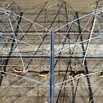 Sıcak Daldırma Sera Konstrüksiyonu