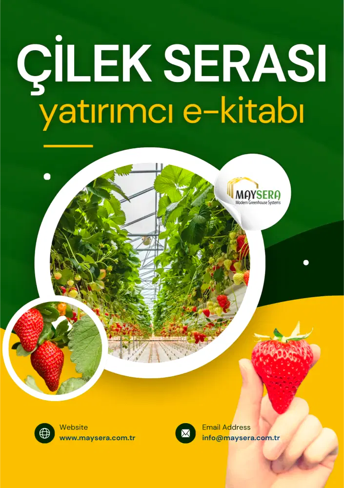 Çilek serası yatırımı ve verimli tarım üzerine kapsamlı bir rehber, çilek serası kurulumu, maliyet analizi, pazarlama stratejileri ve verimlilik yöntemlerini içeren bir tarım kılavuzu.