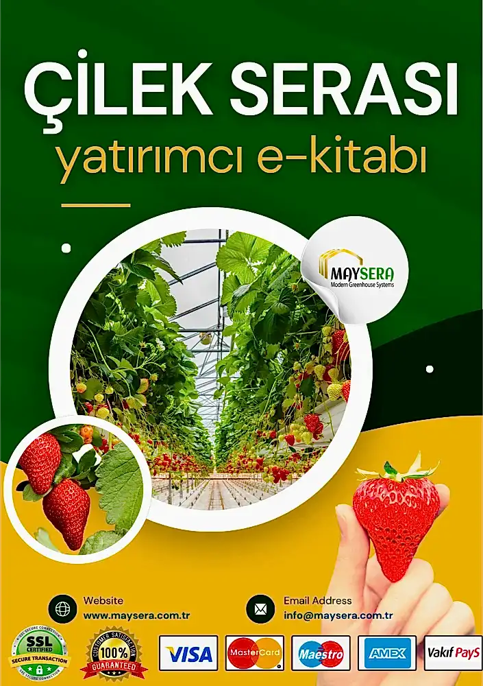 Çilek serası yatırımı ve verimli tarım üzerine kapsamlı bir rehber, çilek serası kurulumu, maliyet analizi, pazarlama stratejileri ve verimlilik yöntemlerini içeren bir tarım kılavuzu.